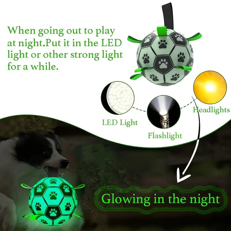 Dog Football Buddy - Pup Buddy