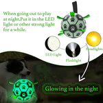 Dog Football Buddy - Pup Buddy