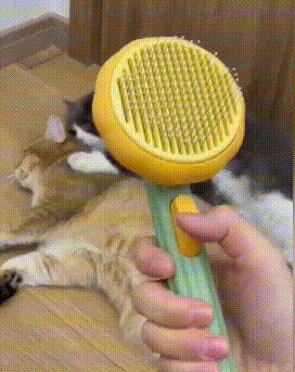 The PET brush ™ - Get a hair-free home