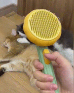 The PET brush ™ - Get a hair-free home