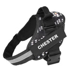 Personalised No Pull Dog Harness - Waggy Tails™ - Pup Buddy