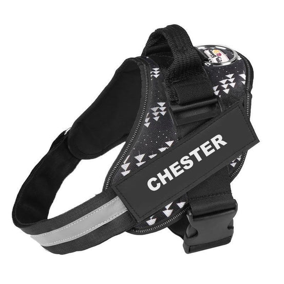 Personalised No Pull Dog Harness - Waggy Tails™ - Pup Buddy