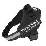 Personalised No Pull Dog Harness - Waggy Tails™ - Pup Buddy