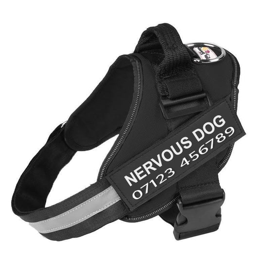 Personalised No Pull Dog Harness - Waggy Tails™ - Pup Buddy
