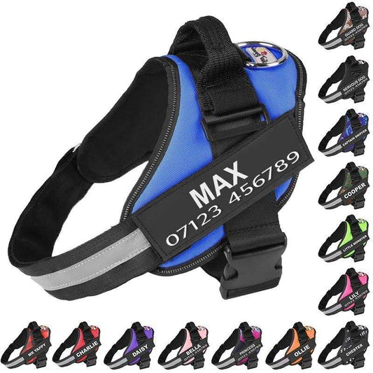 Personalised No Pull Dog Harness - Waggy Tails™ - Pup Buddy