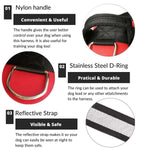 Personalized No Pull Dog Harness - Pup Buddy™ - Pup Buddy