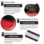 Personalised No Pull Dog Harness - Waggy Tails™ - Pup Buddy