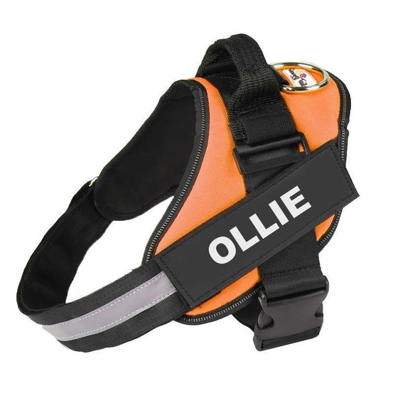 Personalised No Pull Dog Harness - Waggy Tails™ - Pup Buddy