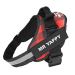 Personalised No Pull Dog Harness - Waggy Tails™ - Pup Buddy