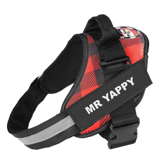 Personalised No Pull Dog Harness - Waggy Tails™ - Pup Buddy