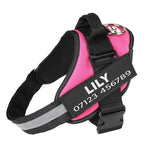 Personalised No Pull Dog Harness - Waggy Tails™ - Pup Buddy