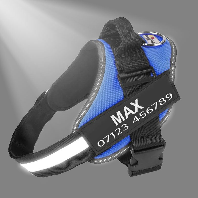 Personalised Harness Waggy Tails