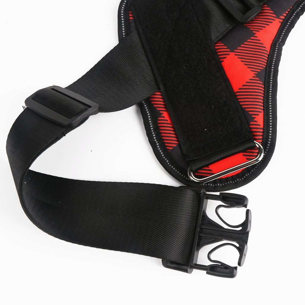 personalised-no-pull-dog-harness waggy tails 