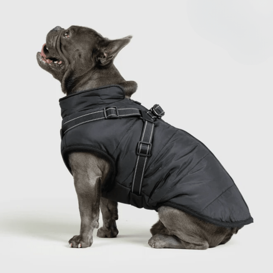 PupBuddy™ All - Weather Dog Coat - Waterproof Pet Jacket - Pup Buddy