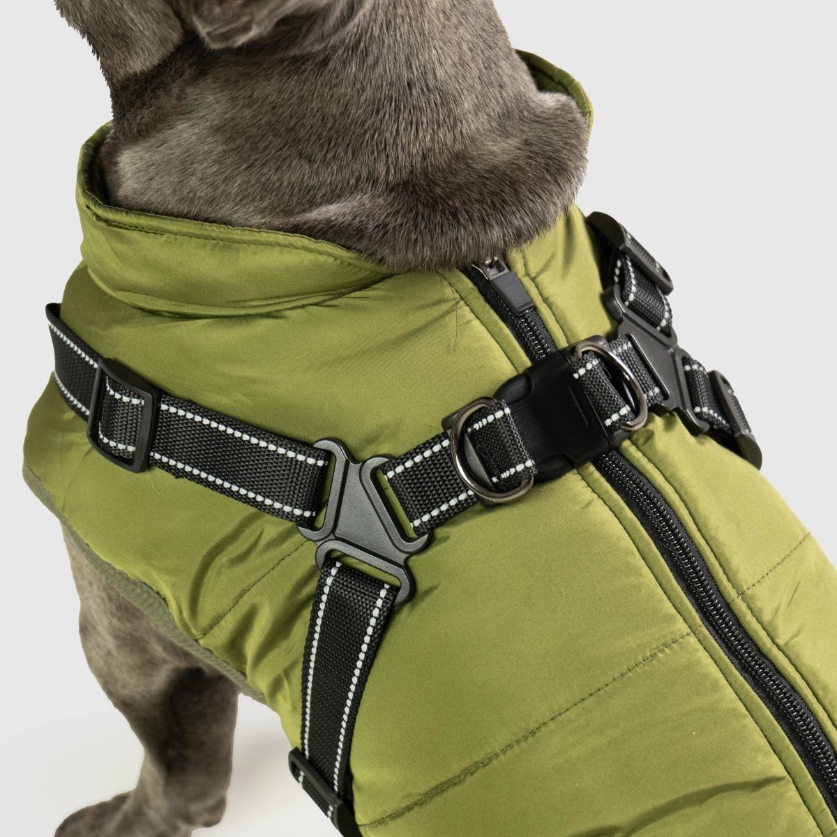 PupBuddy™ All - Weather Dog Coat - Waterproof Pet Jacket - Pup Buddy