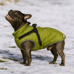 PupBuddy™ All - Weather Dog Coat - Waterproof Pet Jacket - Pup Buddy