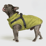 PupBuddy™ All - Weather Dog Coat - Waterproof Pet Jacket - Pup Buddy