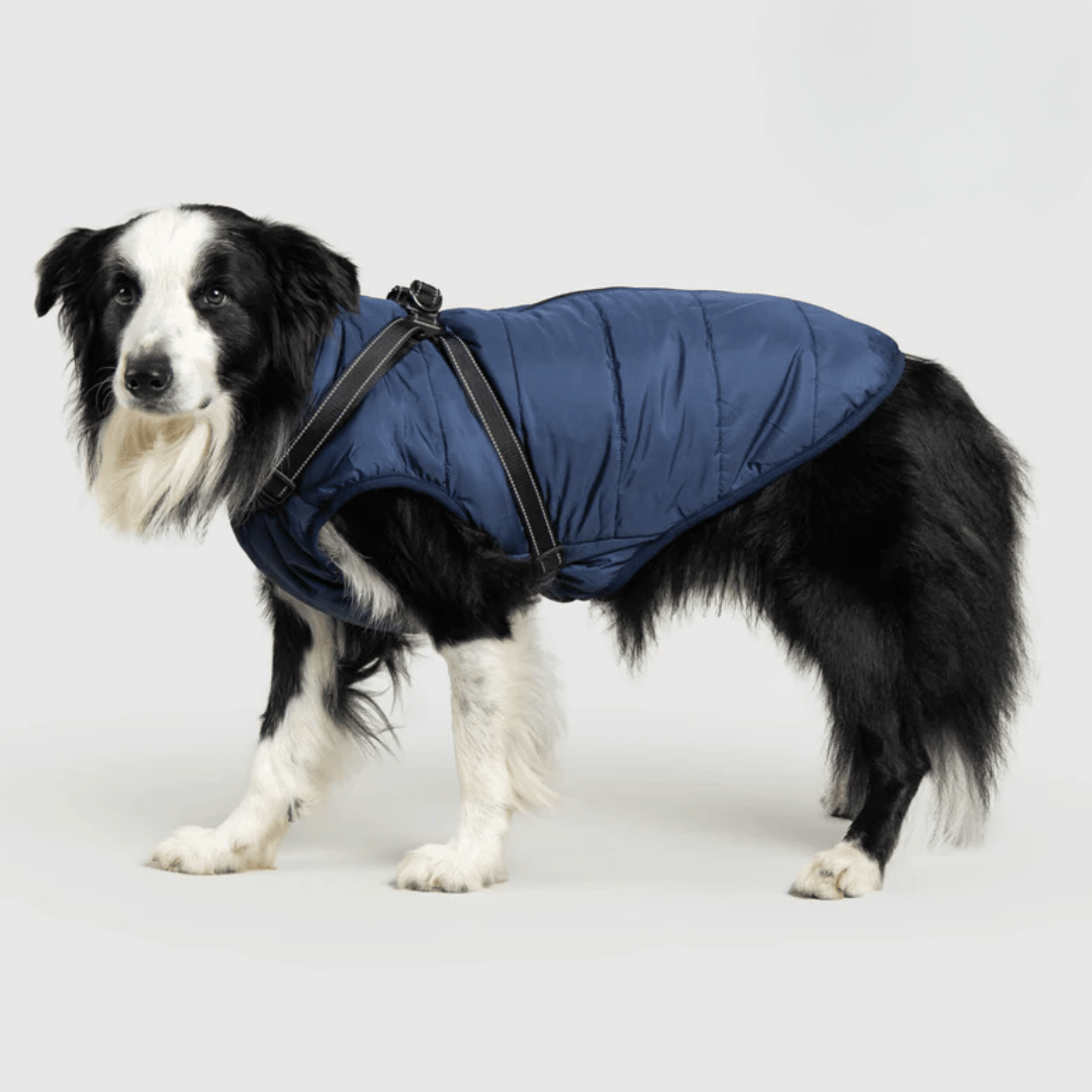 PupBuddy™ All - Weather Dog Coat - Waterproof Pet Jacket - Pup Buddy