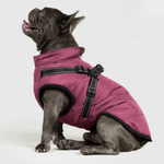 PupBuddy™ All - Weather Dog Coat - Waterproof Pet Jacket - Pup Buddy