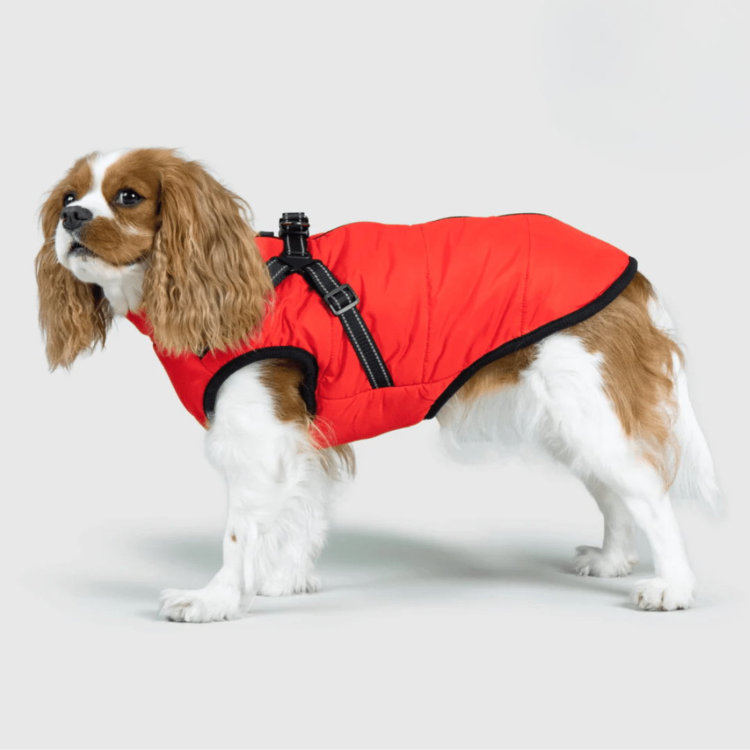 PupBuddy™ All - Weather Dog Coat - Waterproof Pet Jacket - Pup Buddy