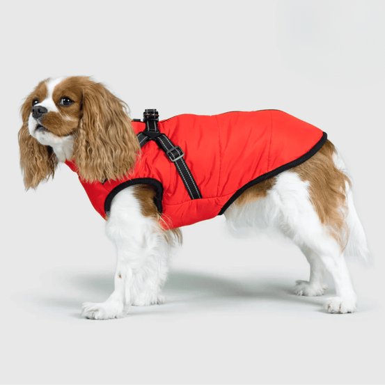 PupBuddy™ All - Weather Dog Coat - Waterproof Pet Jacket - Pup Buddy