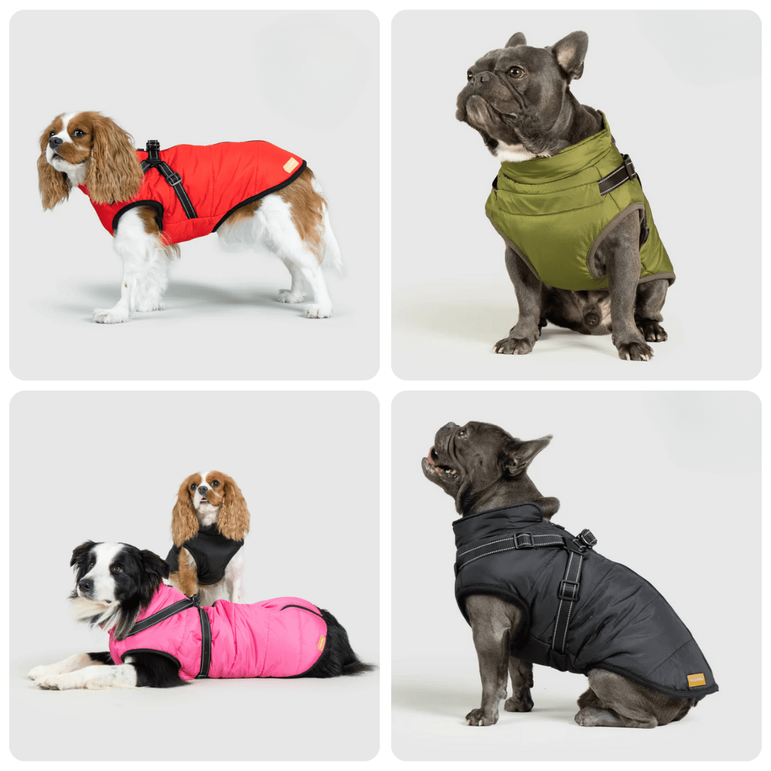 PupBuddy™ All - Weather Dog Coat - Waterproof Pet Jacket - Pup Buddy