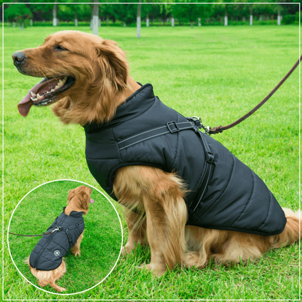 Warm Rainproof Dog Coat/Jacket