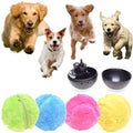 Active Rolling Ball (4 Colors Included) - Pup Buddy