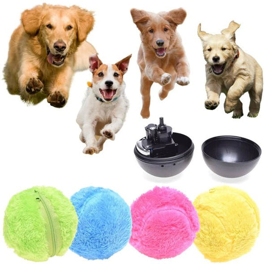 Active Rolling Ball (4 Colors Included) - Pup Buddy
