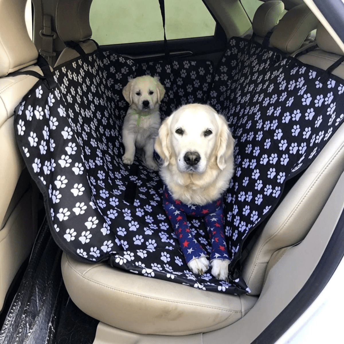 Protective Pet Car Seat Cover - Pup Buddy
