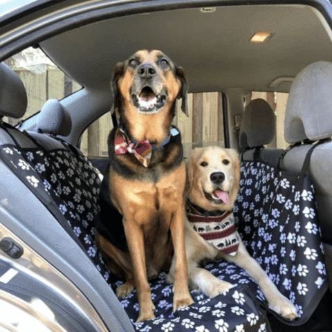 Protective Pet Car Seat Cover - Pup Buddy