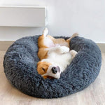 Cosy Calming Pet Bed - Pup Buddy