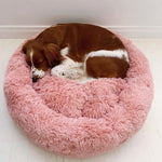 Cosy Calming Pet Bed - Pup Buddy